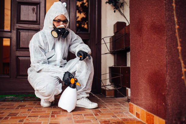 Attic and Crawl Space Rodent Treatment in La Selva Beach