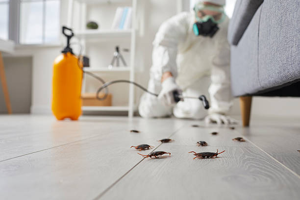 Commercial Rodent Management in La Selva Beach